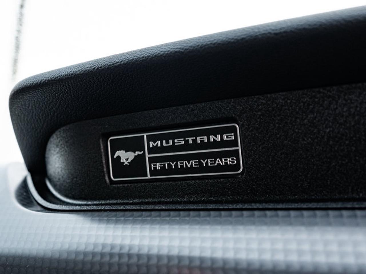 2020 Ford Mustang  Photo