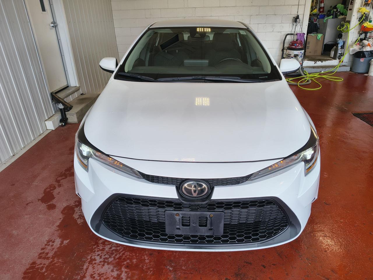 2022 Toyota Corolla LE Photo
