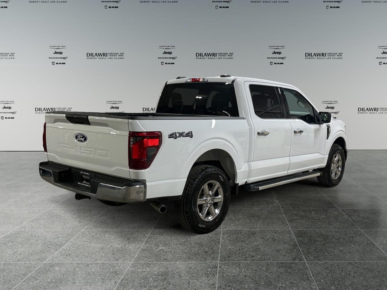 2025 Ford F-150 XLT 4WD SuperCrew 6.5' Box Photo
