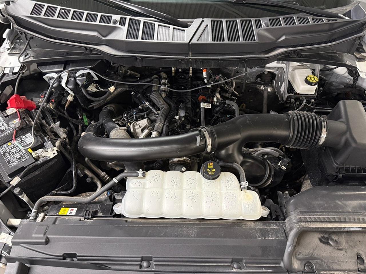 2025 Ford F-150 XLT 4WD SuperCrew 6.5' Box Photo