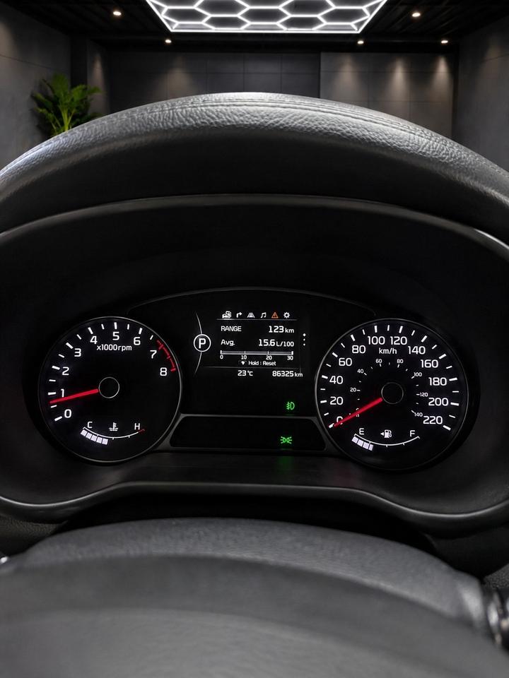 2016 Kia Soul 5dr Wgn Auto SX GDI Photo