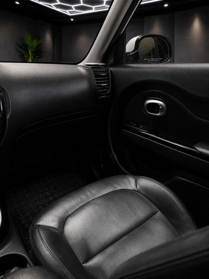 2016 Kia Soul 5dr Wgn Auto SX GDI Photo