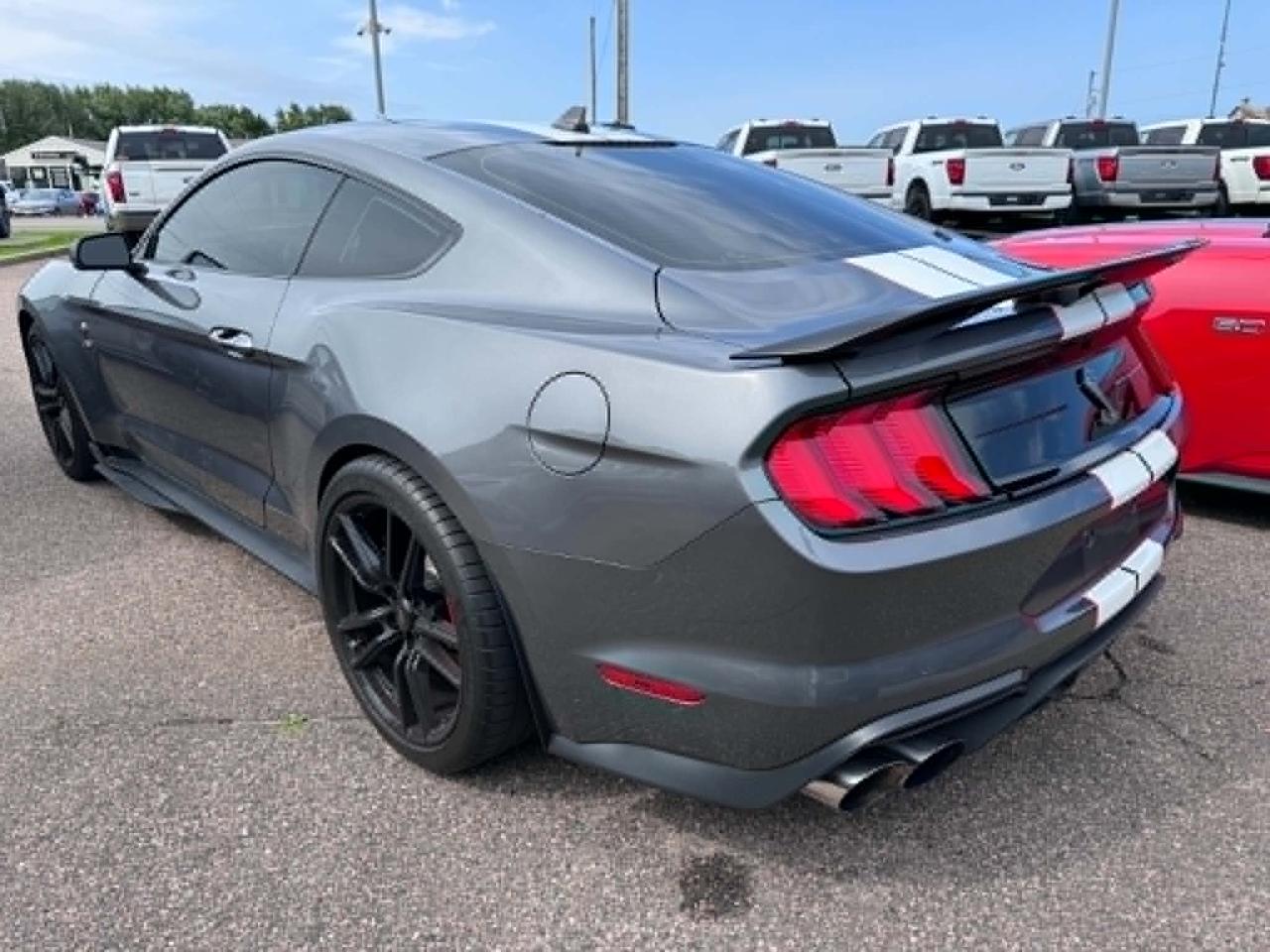 2021 Ford Mustang Shelby GT500 Photo