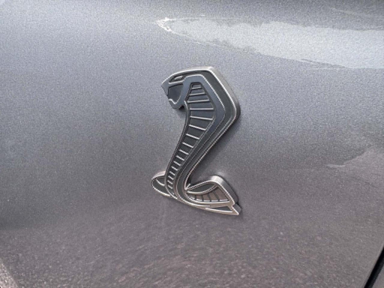 2021 Ford Mustang Shelby GT500 Photo