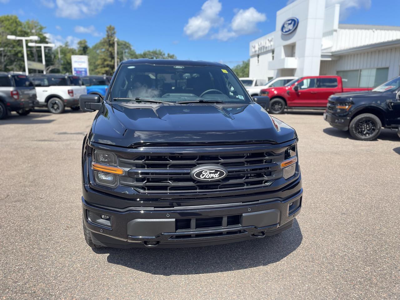 2026 Ford F-150 XLT Photo1