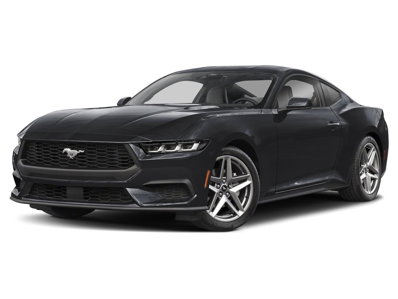 EcoBoost Fastback