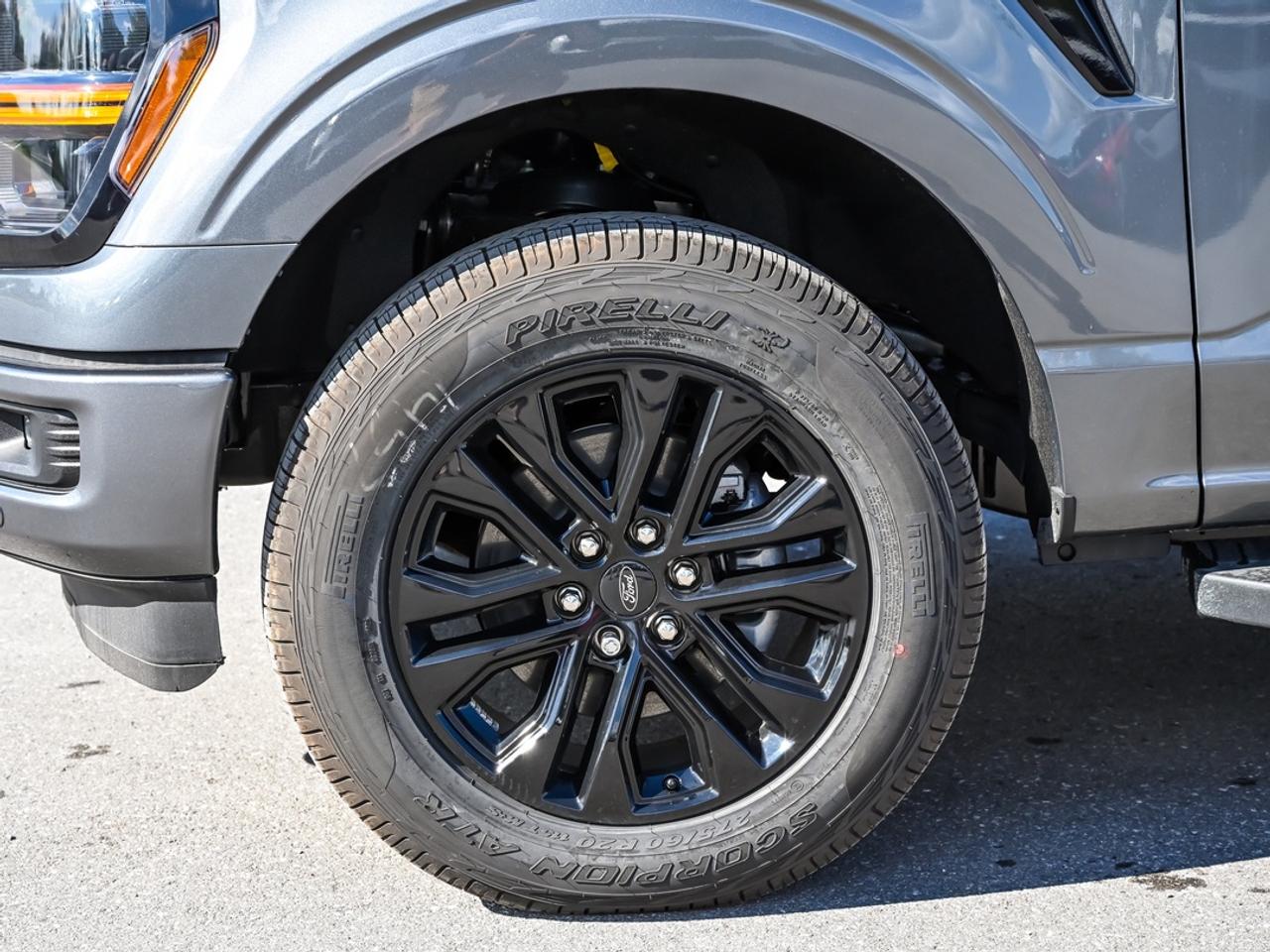 2026 Ford F-150 XLT Photo