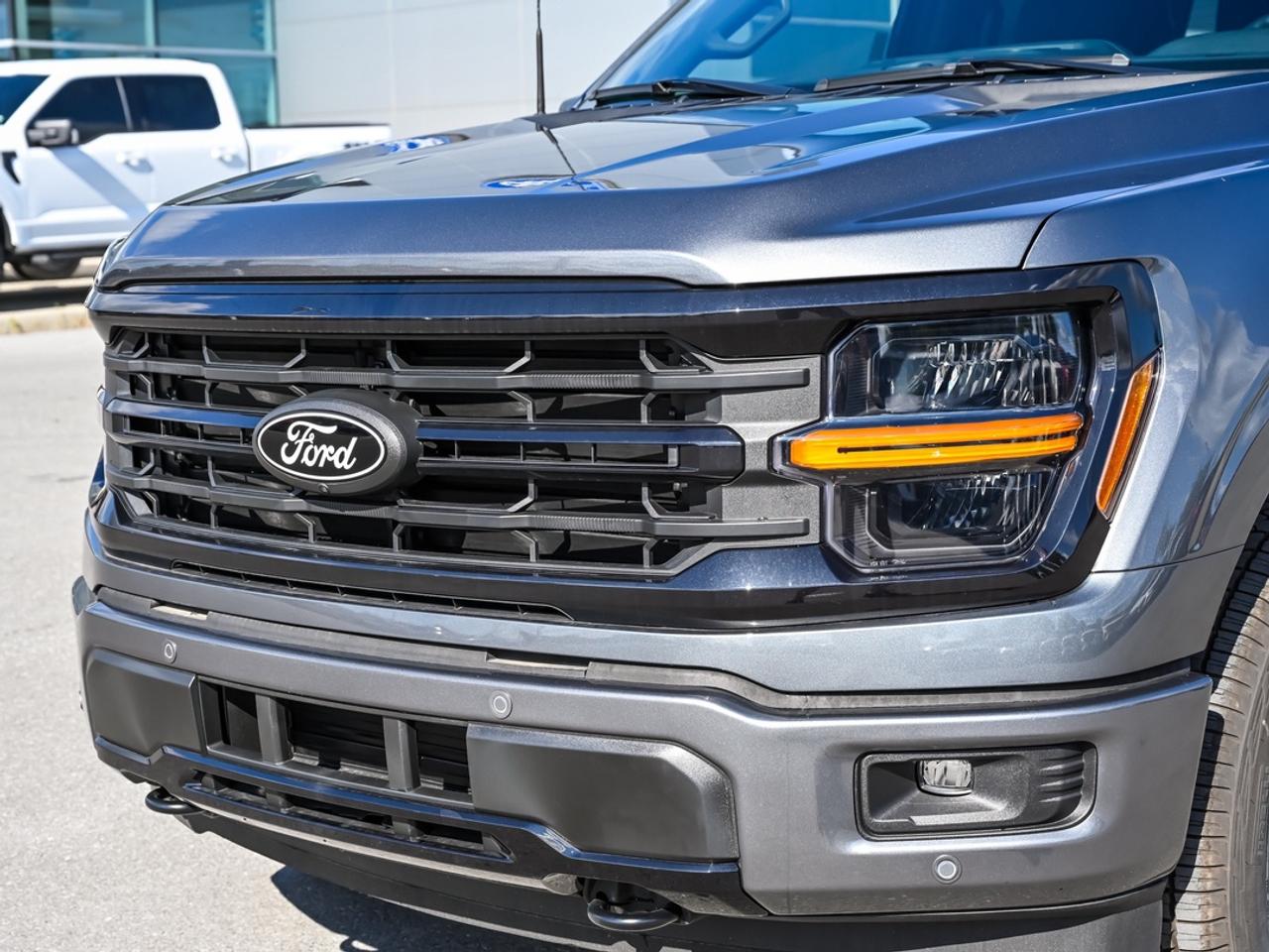 2026 Ford F-150 XLT Photo