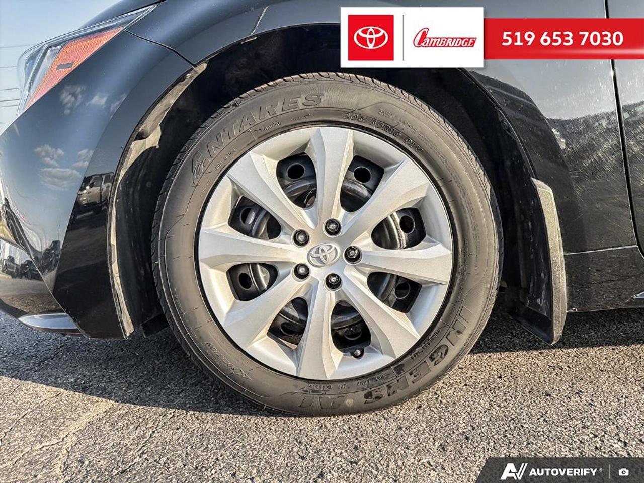2023 Toyota Corolla LE Photo