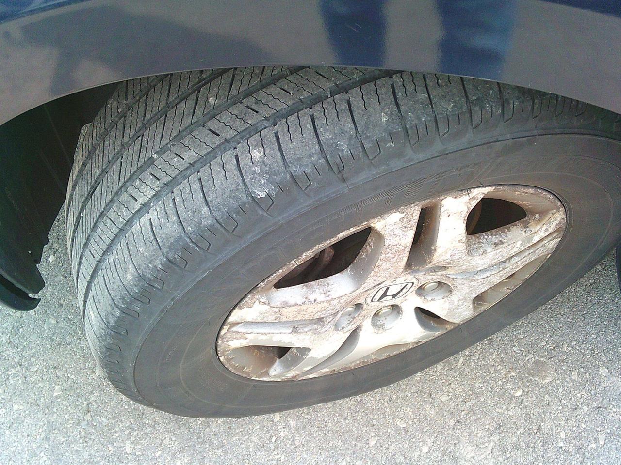 2006 Honda Odyssey EX-L Photo