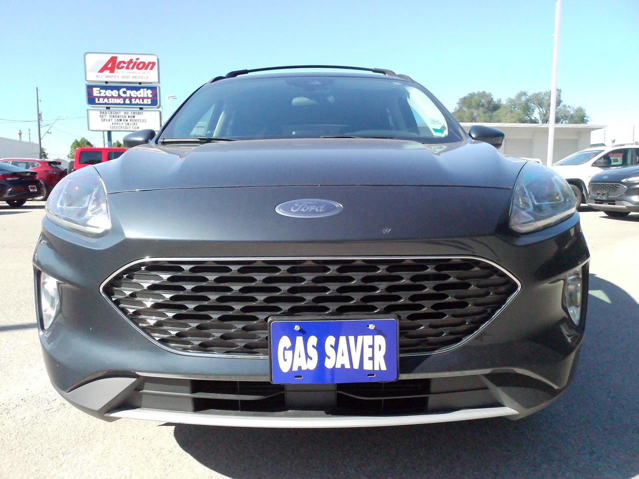 2022 Ford Escape SEL Photo