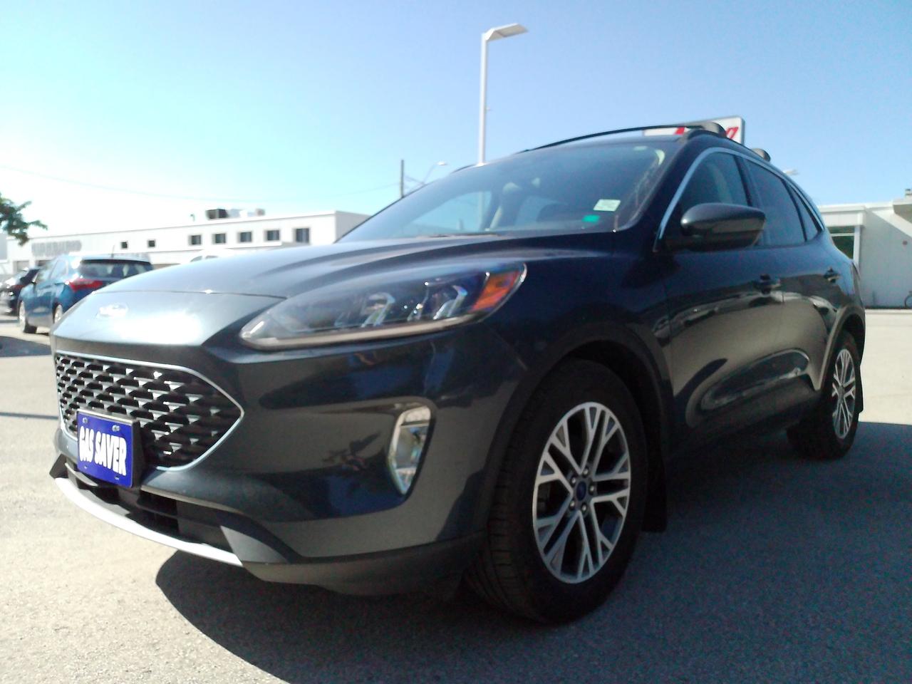 2022 Ford Escape SEL Photo1
