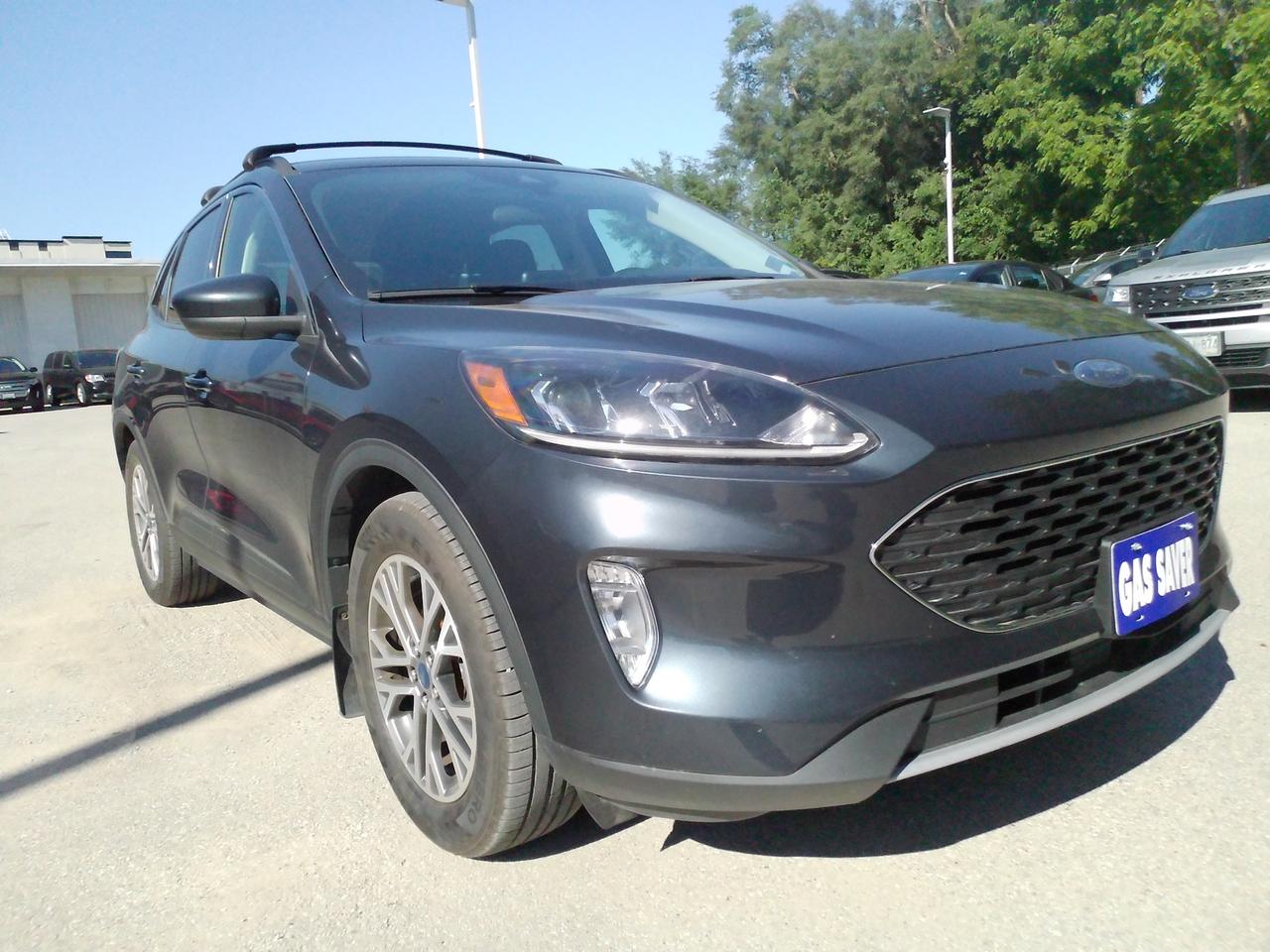 2022 Ford Escape SEL Photo