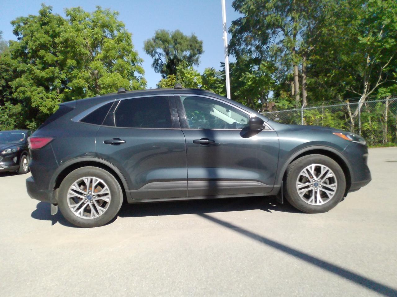 2022 Ford Escape SEL Photo