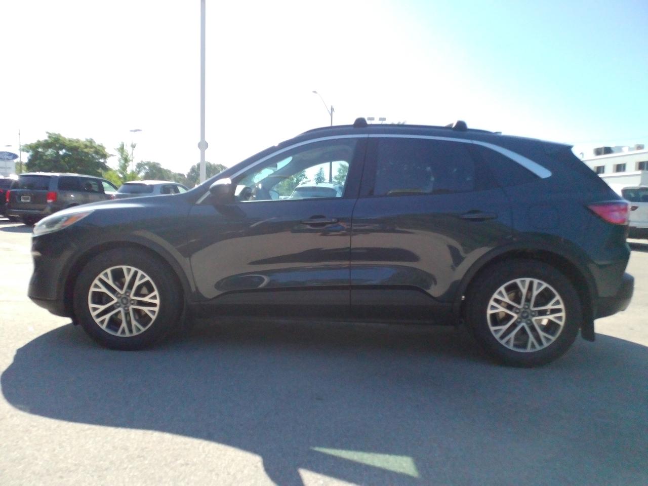 2022 Ford Escape SEL Photo