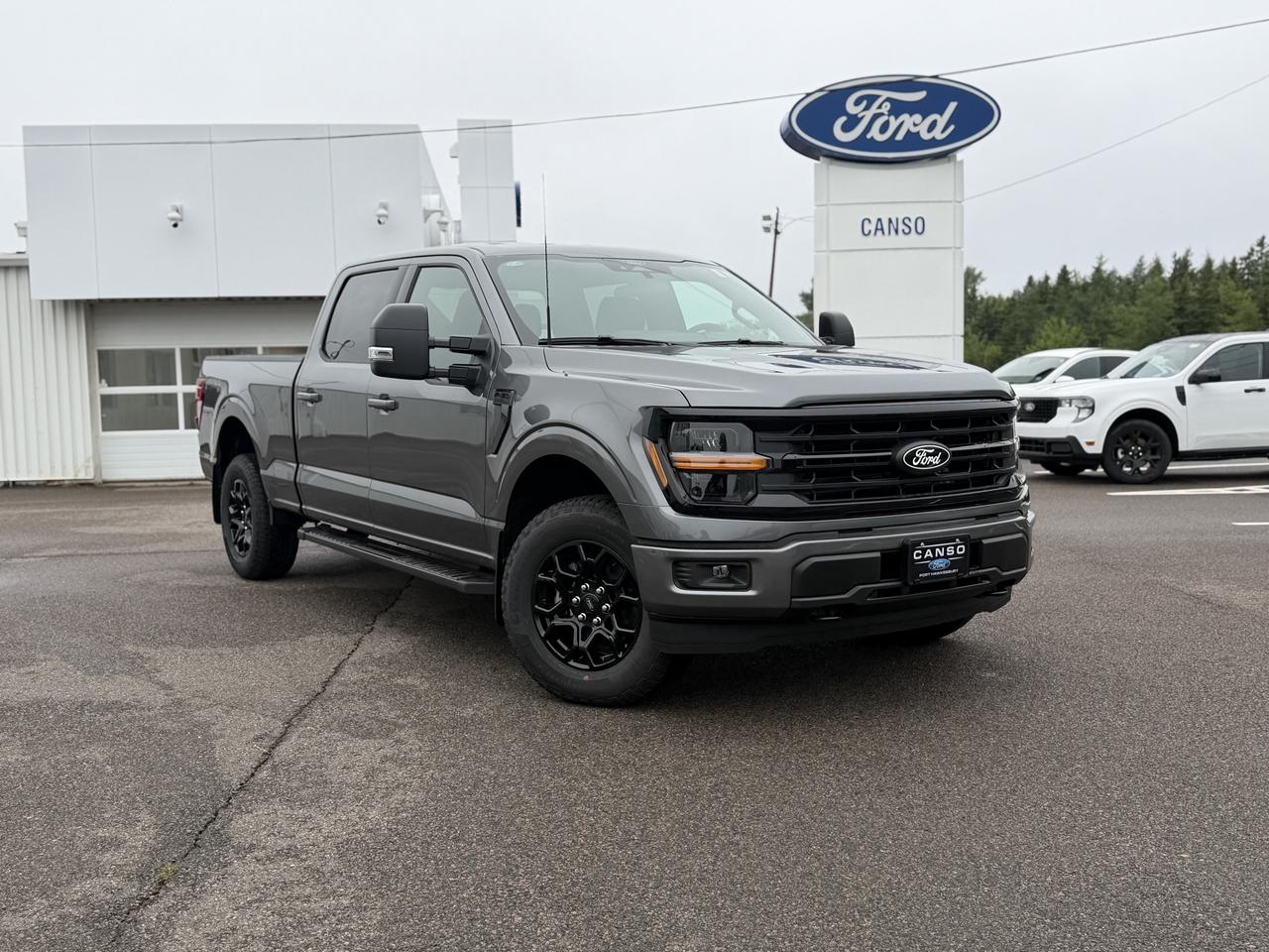 2026 Ford F-150 XLT 4WD SuperCrew 6.5' Box Photo0