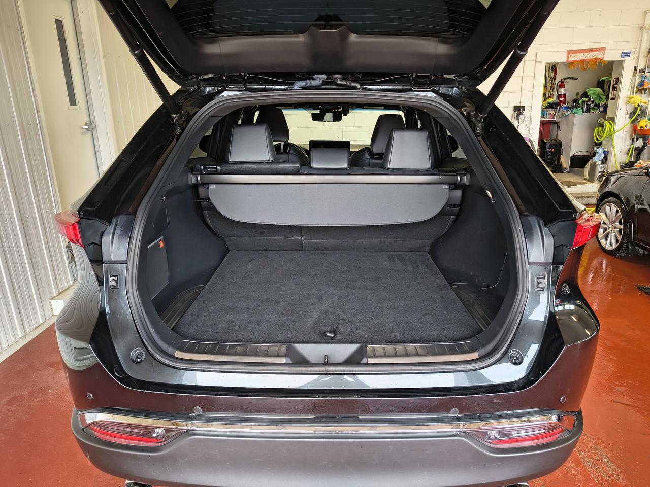 2023 Toyota Venza LIMITED Photo