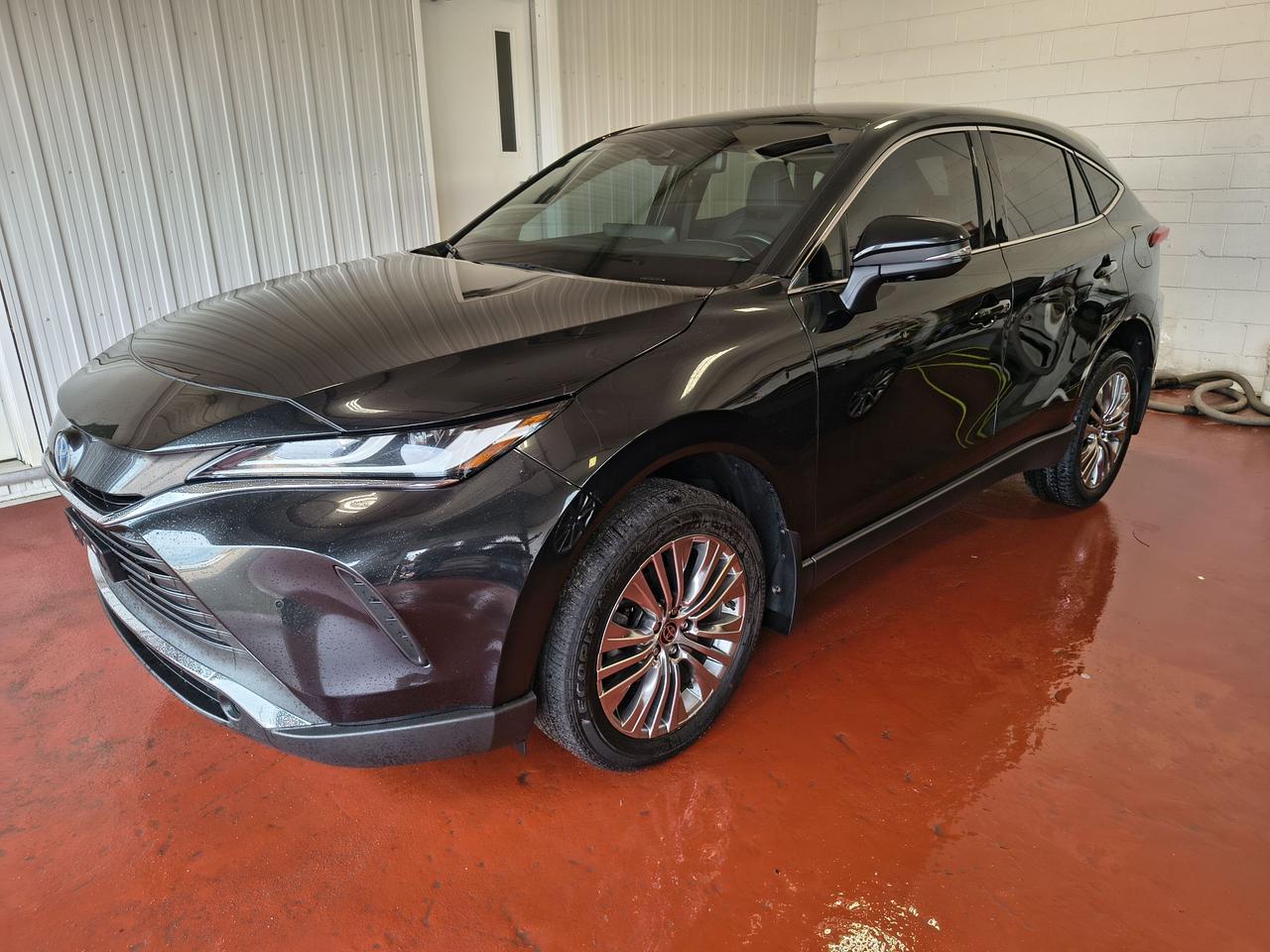 2023 Toyota Venza LIMITED Photo0