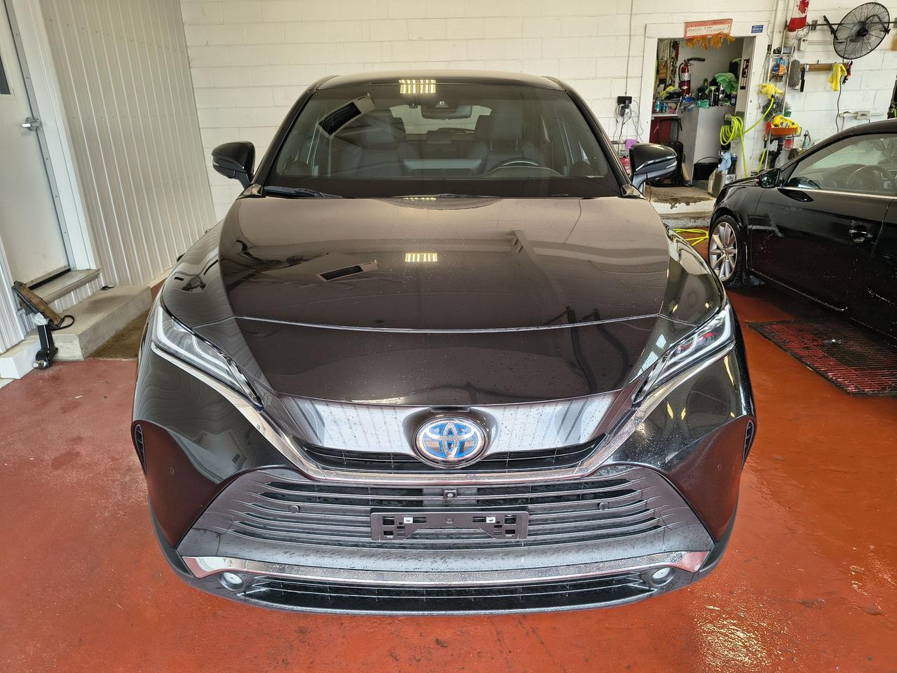 2023 Toyota Venza LIMITED Photo0