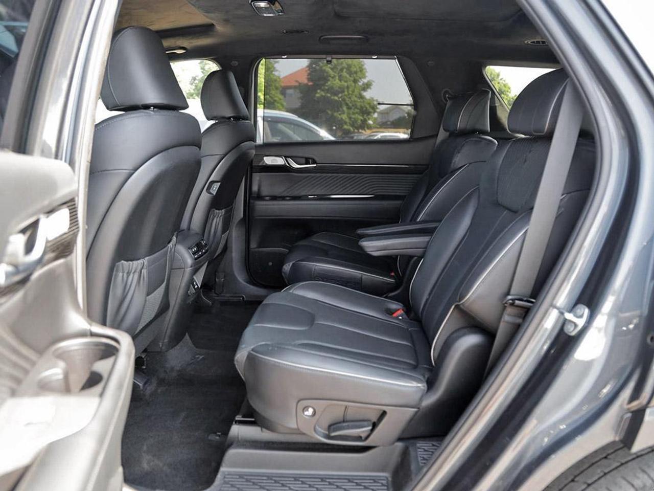 2024 Hyundai PALISADE Ultimate Calligraphy 4dr All-Wheel Drive Photo