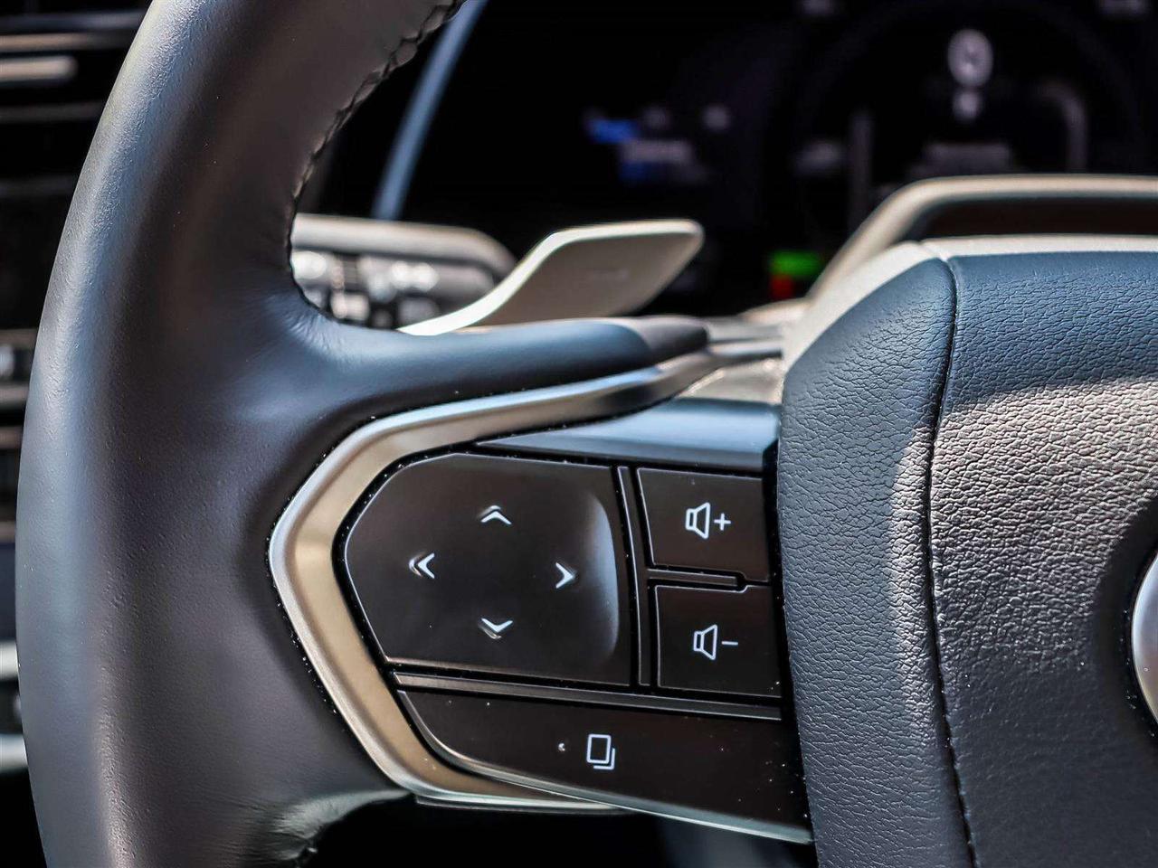 2025 Lexus RX EXECUTIVE PLUG IN HYBRID MARK LEVINSON 360CAM Photo