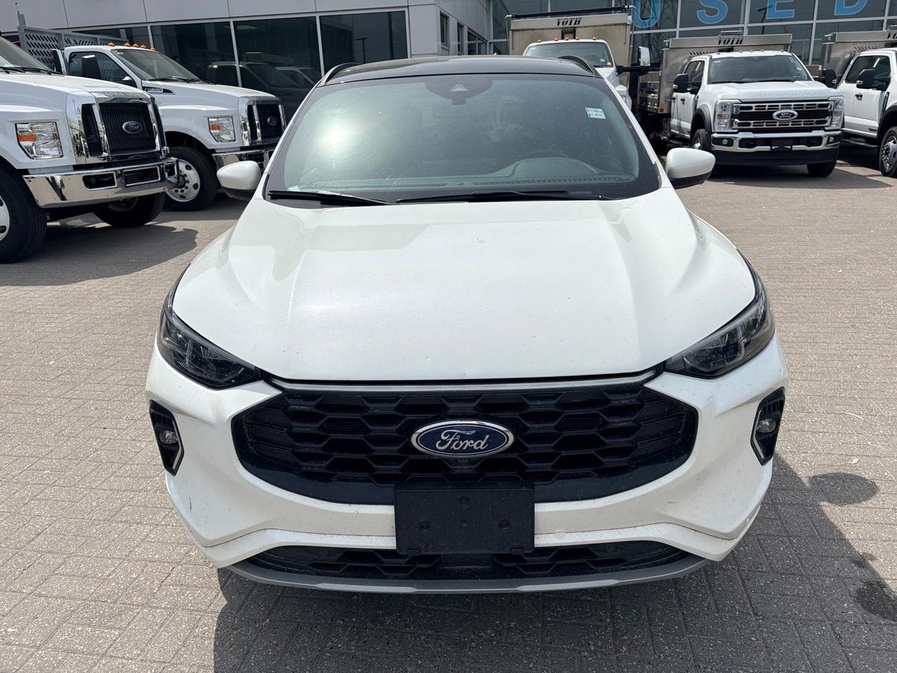 2023 Ford Escape ST-Line Elite 4dr All-Wheel Drive Photo