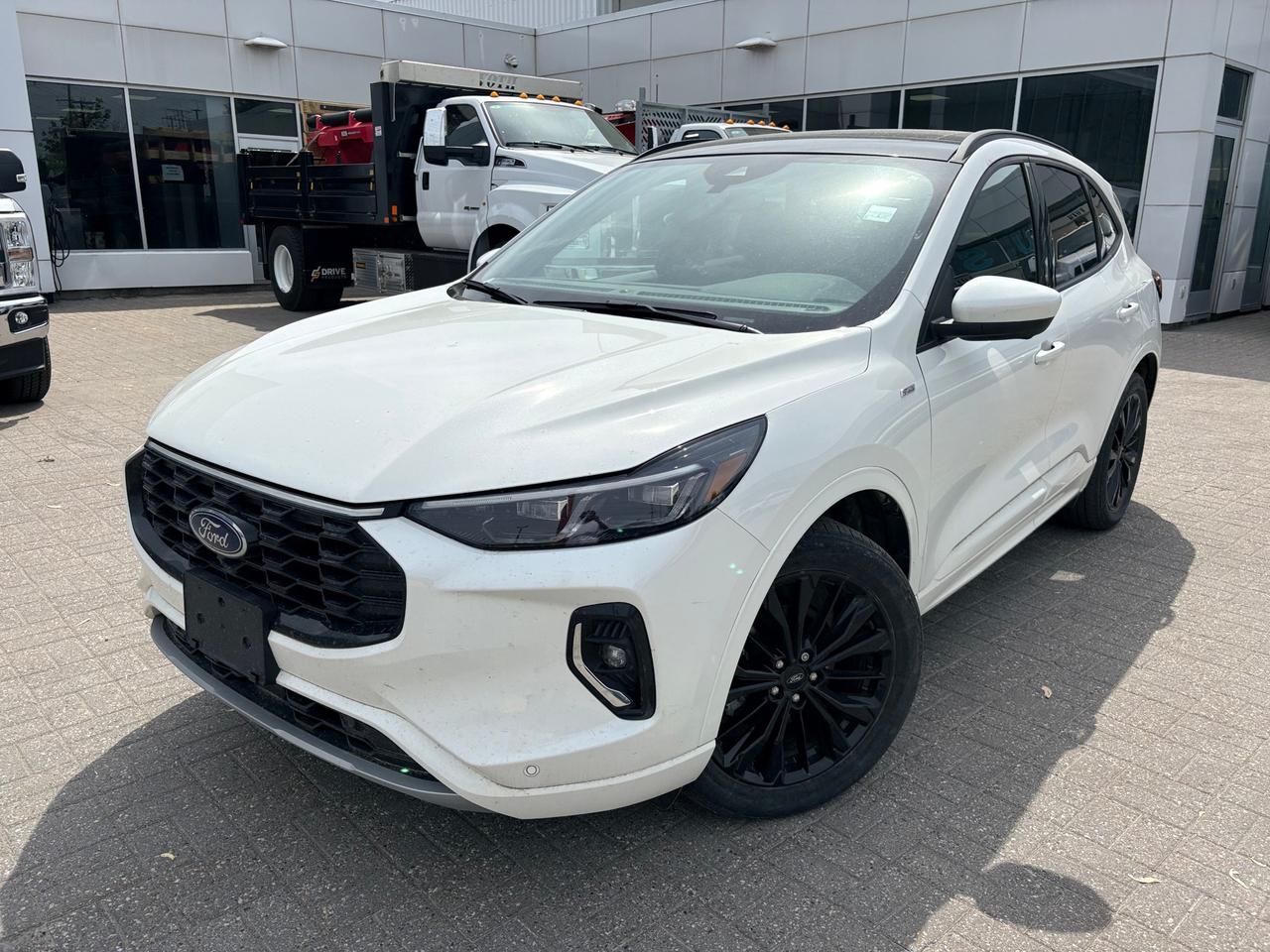 2023 Ford Escape ST-Line Elite 4dr All-Wheel Drive Photo0