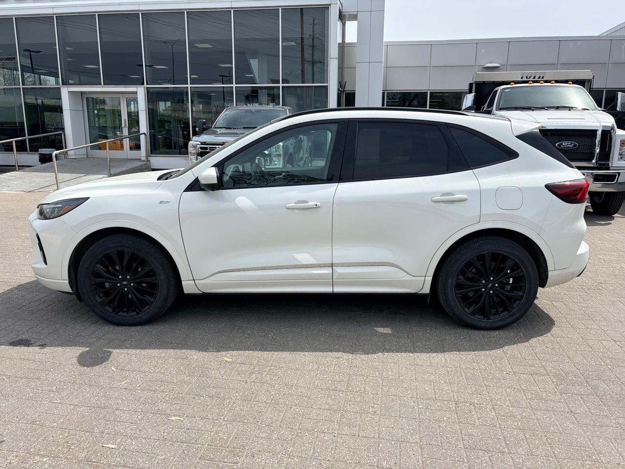 2023 Ford Escape ST-Line Elite 4dr All-Wheel Drive Photo