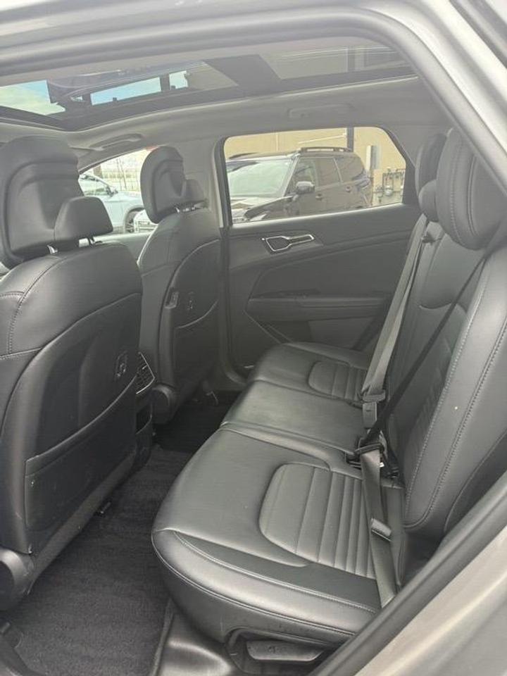2023 Kia Sportage  Photo