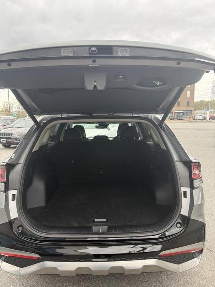 2023 Kia Sportage  Photo