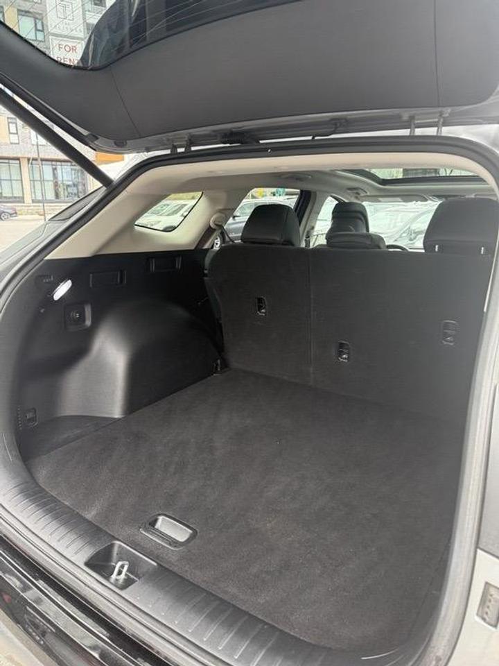 2023 Kia Sportage  Photo