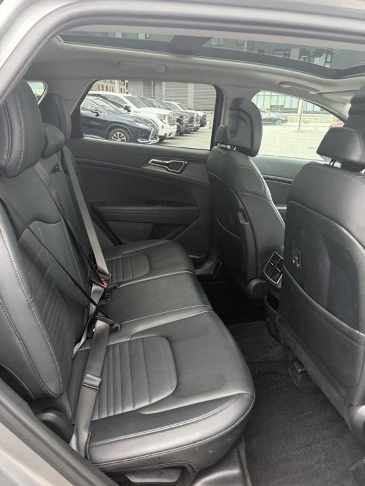 2023 Kia Sportage  Photo