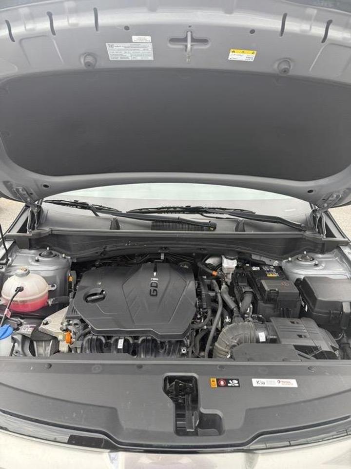 2023 Kia Sportage  Photo