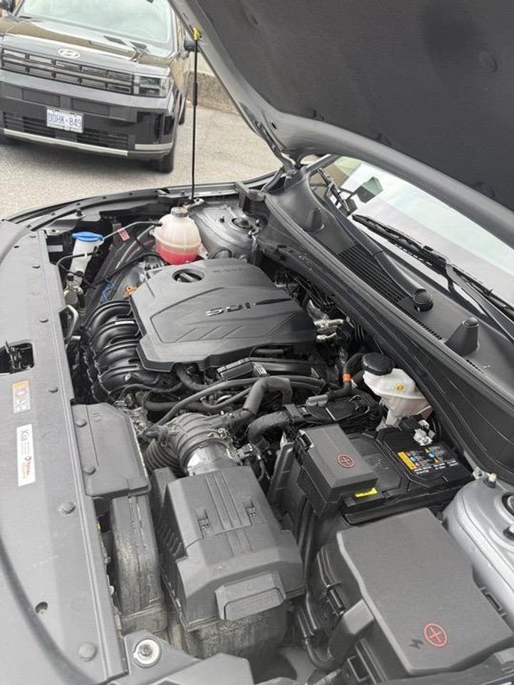 2023 Kia Sportage  Photo