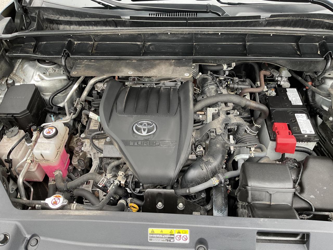 2024 Toyota Highlander  Photo