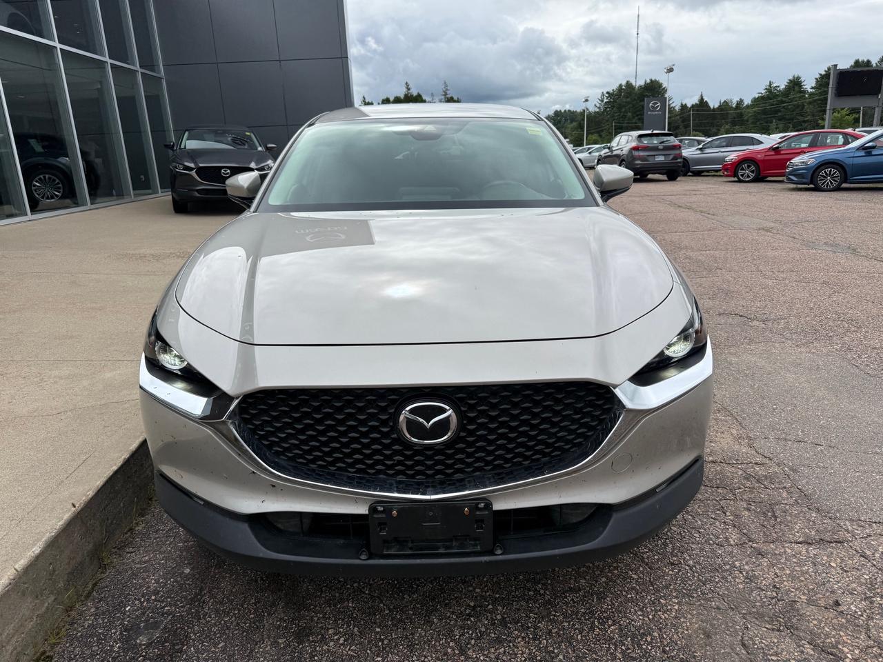 2023 Mazda CX-30 GS 4dr i-ACTIV All-Wheel Drive Sport Utility Photo