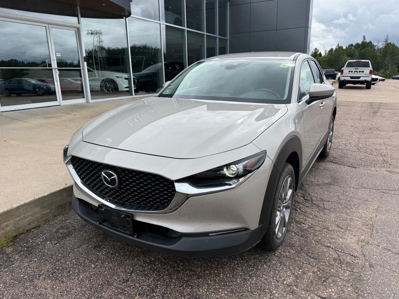 2023 Mazda CX-30 GS 4dr i-ACTIV All-Wheel Drive Sport Utility Photo