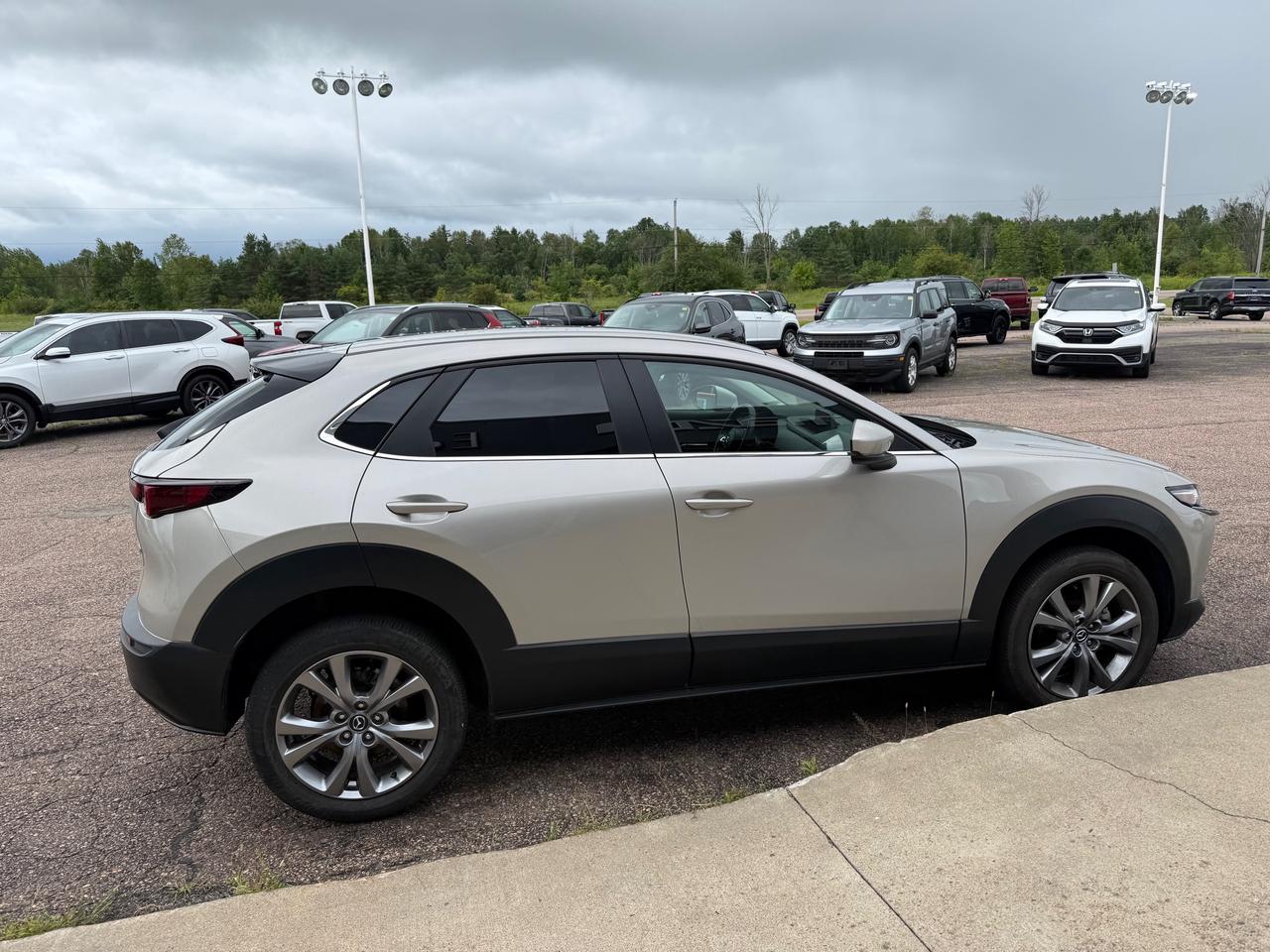 2023 Mazda CX-30 GS 4dr i-ACTIV All-Wheel Drive Sport Utility Photo