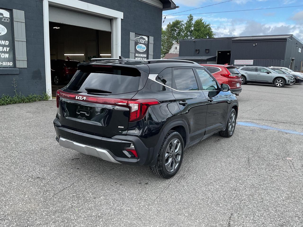 2025 Kia Seltos  Photo