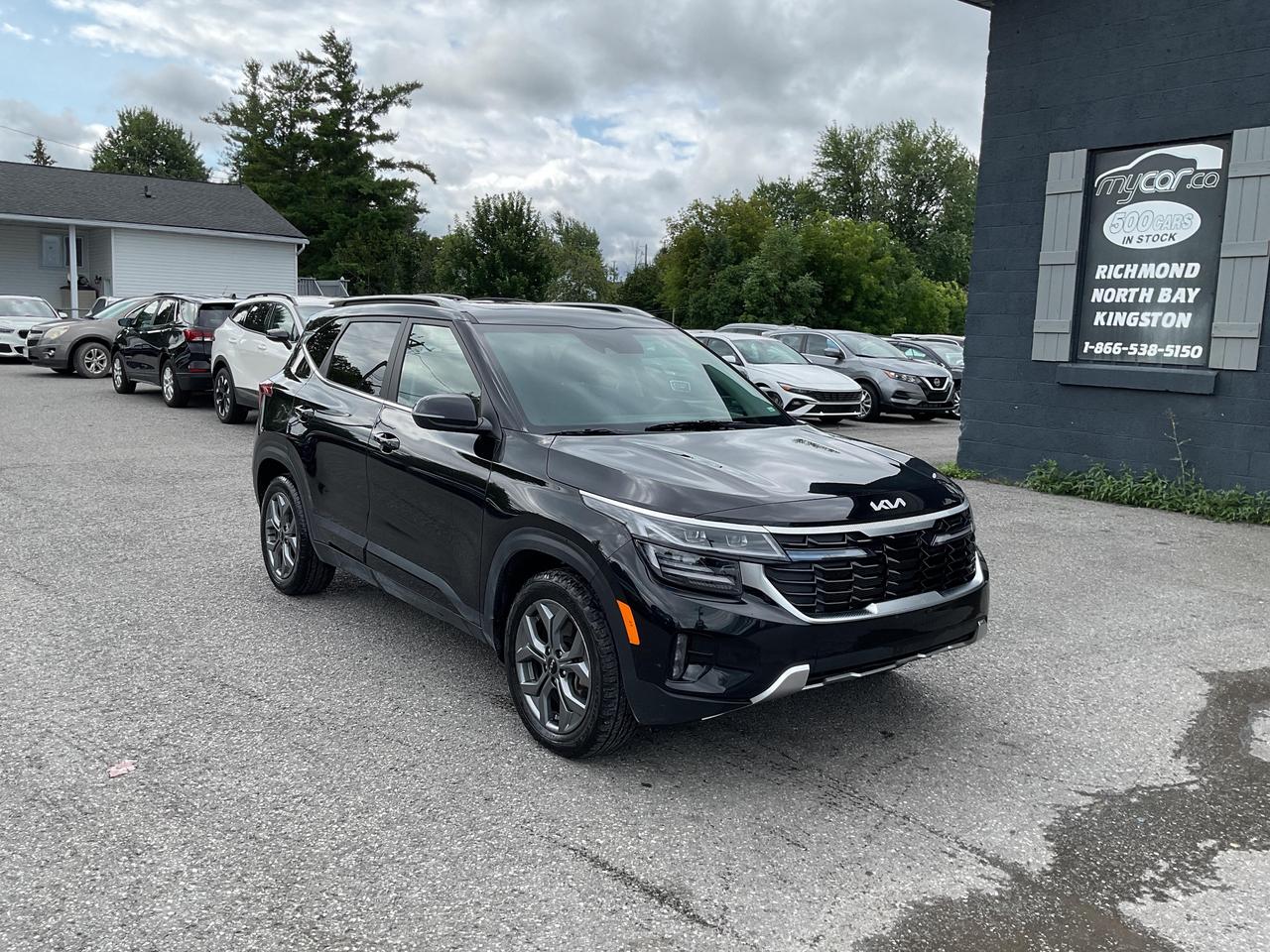 2025 Kia Seltos  Photo