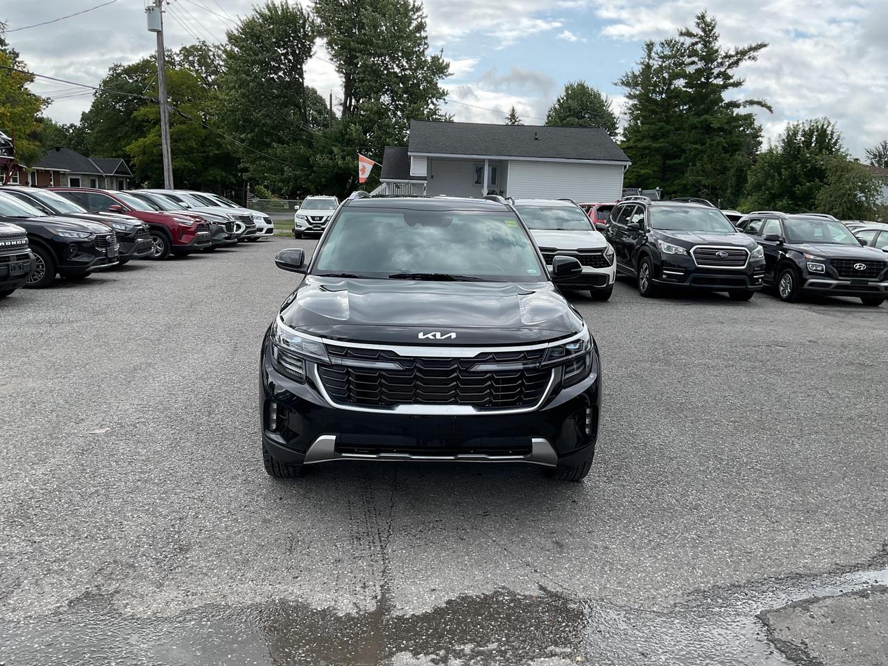 2025 Kia Seltos  Photo