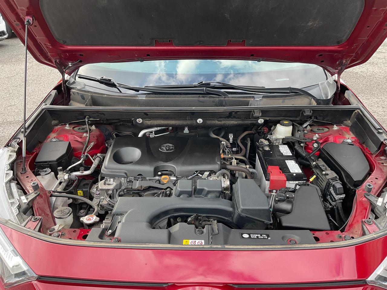 2023 Toyota RAV4 XLE 4dr All-wheel Drive Photo