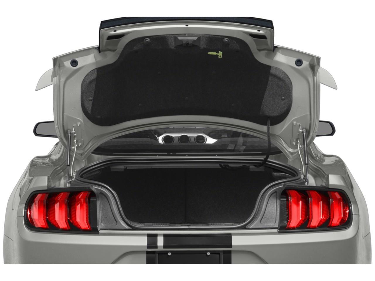 2022 Ford Mustang GT 2dr Fastback Photo