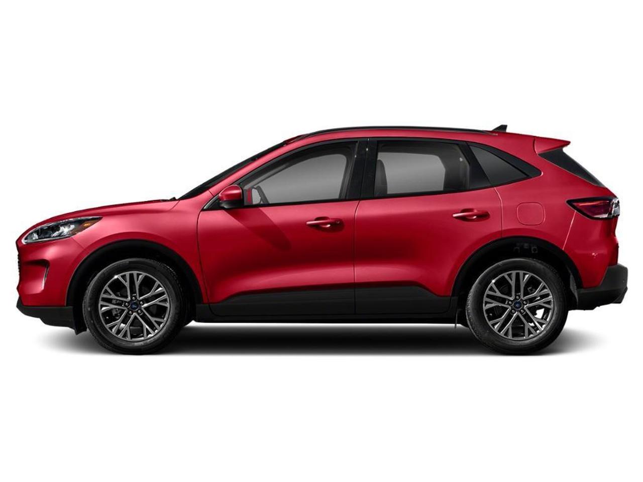 2020 Ford Escape SEL AWD Photo