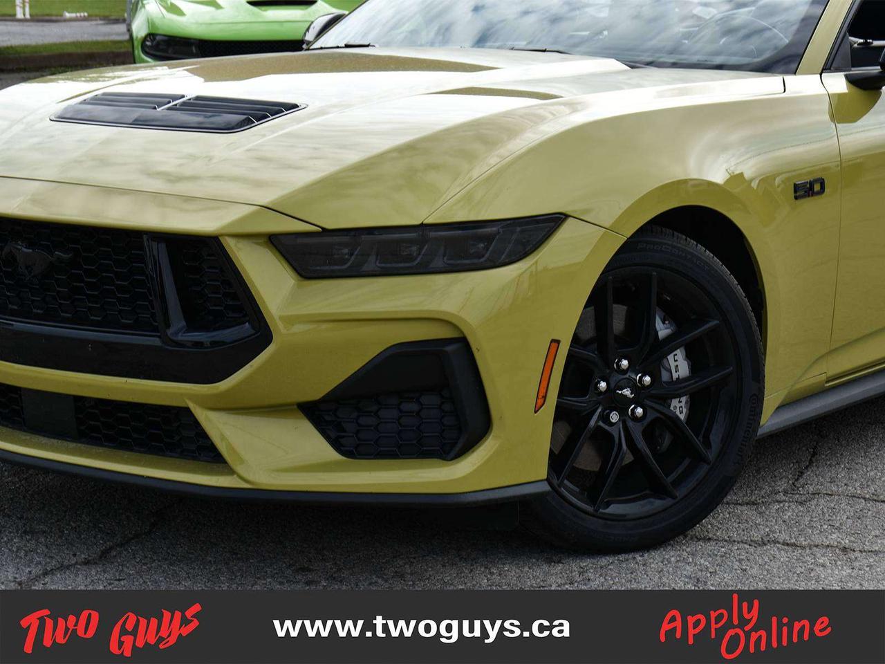 2025 Ford Mustang GT Premium SoftTop   Auto 5.0L   Nite Pony   401A Photo5