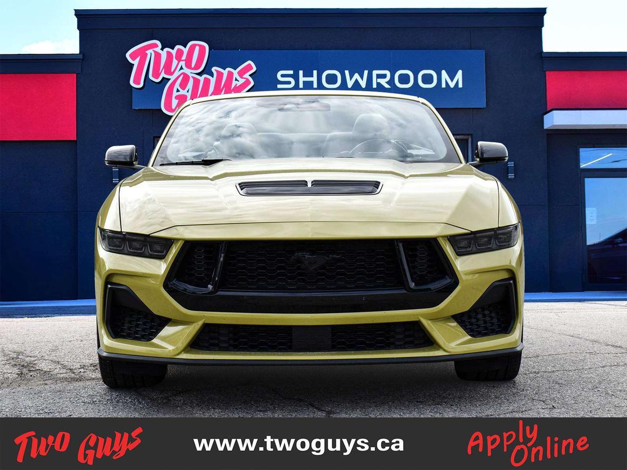 2025 Ford Mustang GT Premium SoftTop   Auto 5.0L   Nite Pony   401A Photo