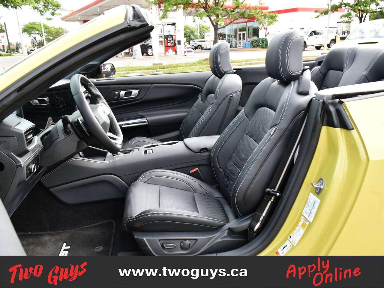 2025 Ford Mustang GT Premium SoftTop   Auto 5.0L   Nite Pony   401A Photo