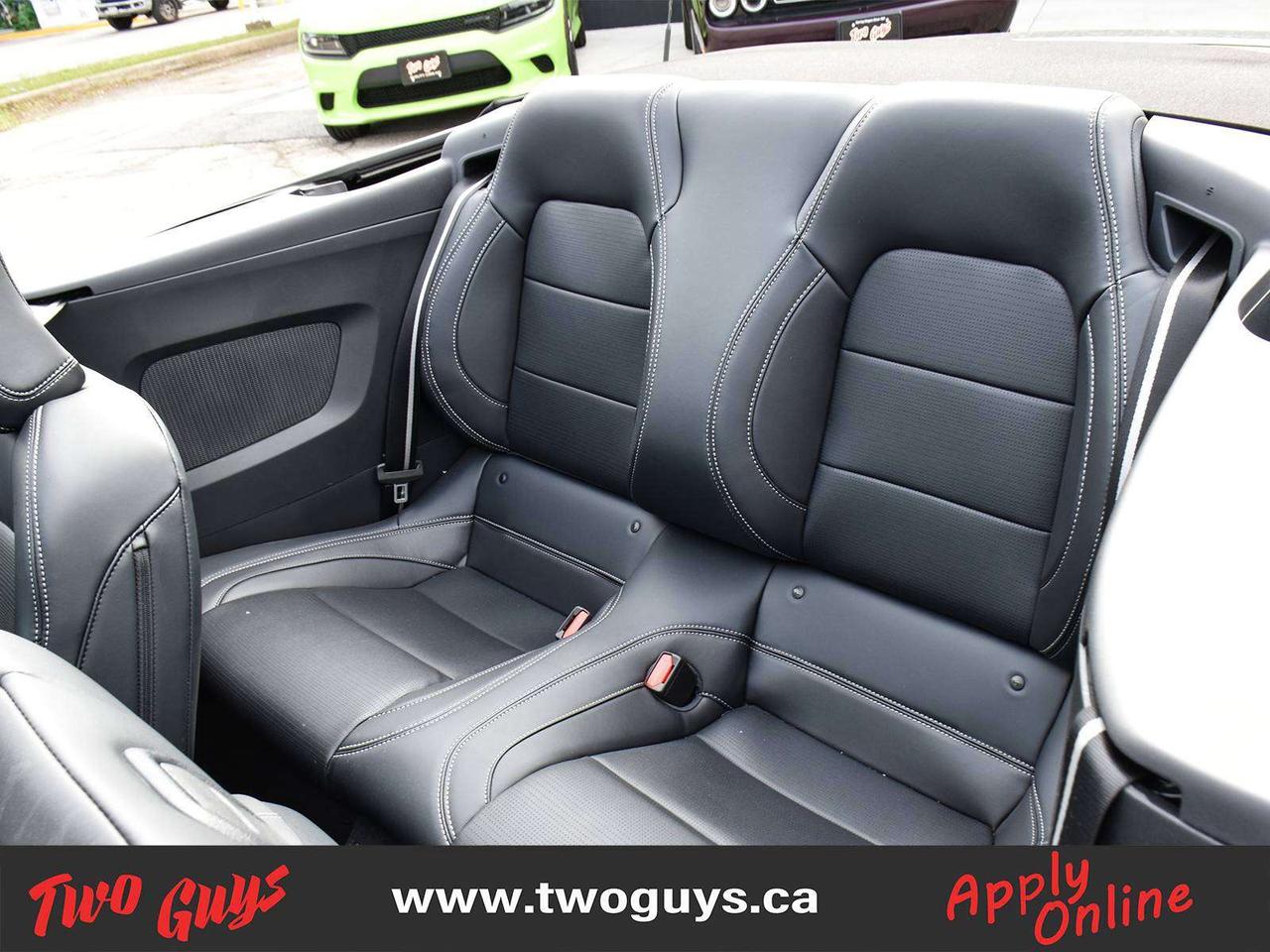 2025 Ford Mustang GT Premium SoftTop   Auto 5.0L   Nite Pony   401A Photo