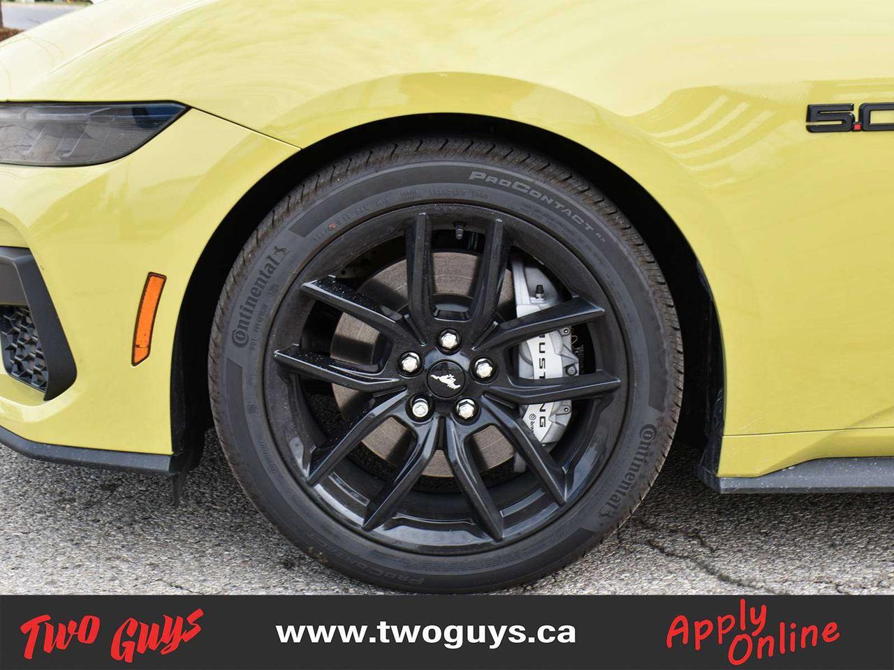2025 Ford Mustang GT Premium SoftTop   Auto 5.0L   Nite Pony   401A Photo