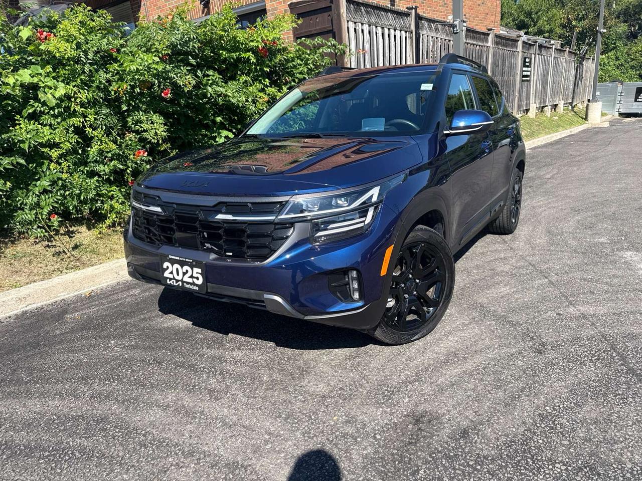 2025 Kia Seltos X-LINE Photo